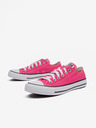 Converse Chuck Taylor All Star Sneakers