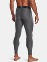 Under Armour HG Armour Leggings