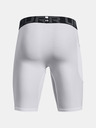 Under Armour HG Armour Lng Shorts