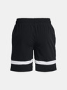 Under Armour UA Baseline Woven 7'' Shorts