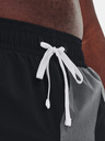 Under Armour UA Baseline Woven 7'' Shorts