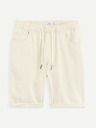 Celio Bojogdenbm Shorts