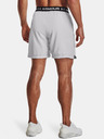 Under Armour UA Vanish Woven 6in Shorts