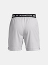 Under Armour UA Vanish Woven 6in Shorts