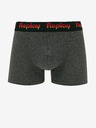 Replay Boxershorts 2 stuks