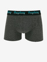 Replay Boxershorts 2 stuks