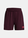 Under Armour UA W's Ch. Knit Shorts