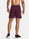 Under Armour UA Vanish Woven 6in Shorts