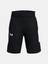 Under Armour UA Baseline Kids shorts