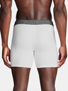 Under Armour UA Performance Cotton 6in 3-pack Hipsters