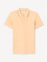 Celio Decolrayeb Poloshirt