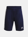 Under Armour UA B's Ch. Knit Kids shorts