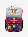 BAAGL  Zippy Harry Potter Schoolset