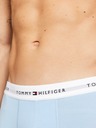 Tommy Hilfiger Underwear 3-pack Hipsters