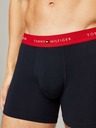 Tommy Hilfiger Underwear 3-pack Hipsters