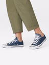 Converse Chuck Taylor All Star Sneakers