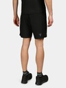 Kilpi Bray-M Shorts