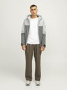 Jack & Jones Aiden Jas