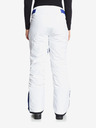 Roxy Premiere Broek