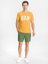 GAP Shorts