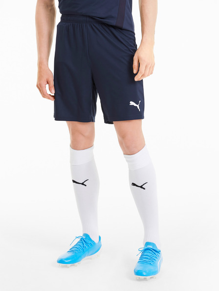 Puma Team Goal Shorts