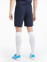 Puma Team Goal Shorts