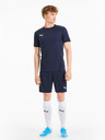 Puma Team Goal Shorts