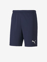 Puma Team Goal Shorts