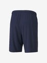 Puma Team Goal Shorts