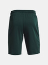 Under Armour Project Rock Terry Iron Shorts