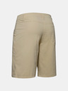 Under Armour UA Fish Hunter Shorts