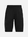 Under Armour Prototype 2.0 Wdmk Kids shorts