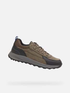 Geox Terrestre Sneakers