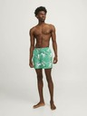 Jack & Jones Fiji Swimsuit