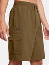 Under Armour UA Vibe Woven Cargo Shorts