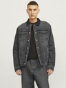 Jack & Jones Jean Jas