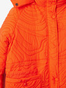 Desigual Aarhus Winter jacket