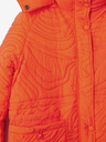 Desigual Aarhus Winter jacket