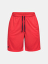 Under Armour Tech Mesh Shorts