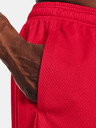 Under Armour Tech Mesh Shorts