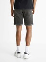 Celio Bostroybm Shorts