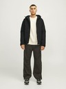 Jack & Jones Aiden Jas